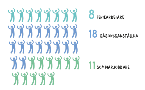 Tecknade gubbar som visar fördelningen 8 feriearbetare, 18 säsongsanställda, 11 sommarjobbare. 
